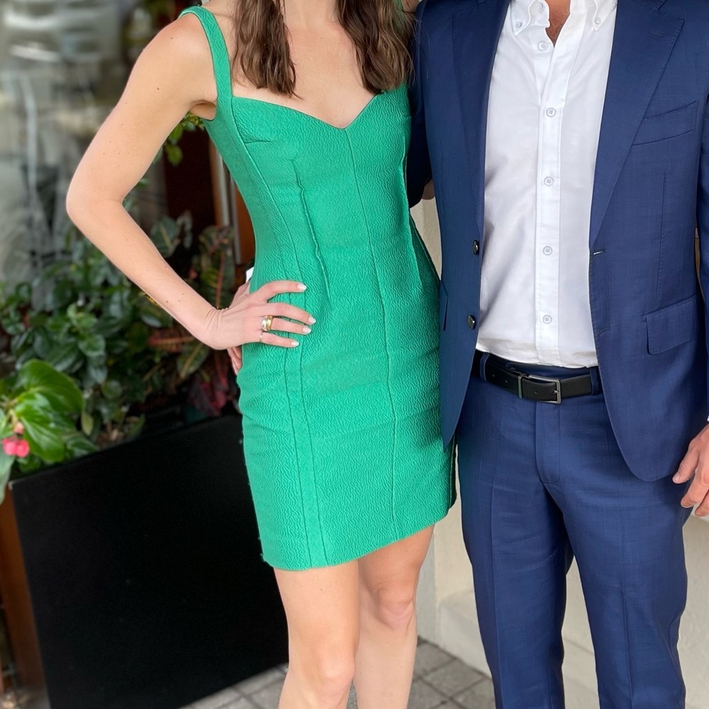 Emilia wickstead Kelly green dress worn 1x